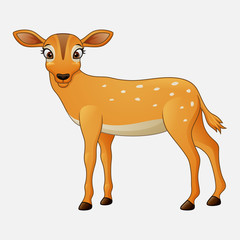 Cute deer cartoon