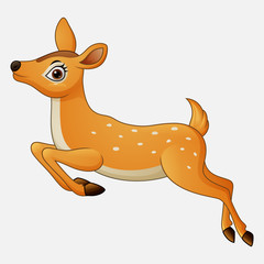 Cartoon funny deer running