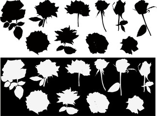 twelve isolated black and white roses silhouettes