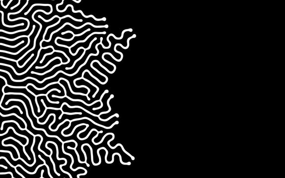Growing Brain