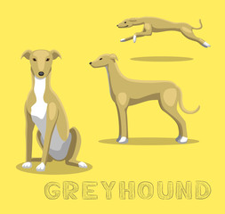 Dog Greyhound Cartoon Vector Illustration