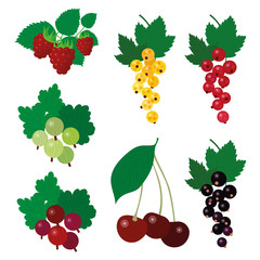 Beautiful simple garden berries fruit harvest summer clipart