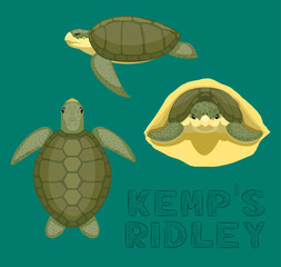Obraz premium Ilustracja wektorowa kreskówka Ridley żółwia morskiego Kempa