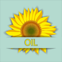 Vector illustration of sunflower flower head top view and oil lettering or place for text