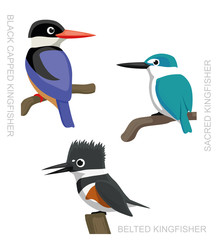 Bird Kingfisher Set Cartoon Vector Illustration 2