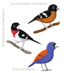 Bird Grosbeak Set Cartoon Vector Illustration