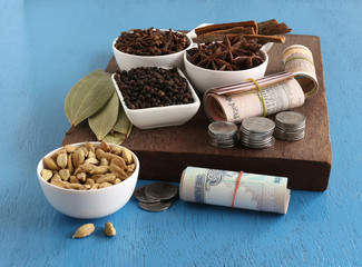 Agricultural income, from spices like cinnamon, pepper, cardamom, cloves, star anise and bay leaves, concept highlighted with Indian rupees, which are rolled, and stacks of coins.