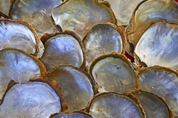 Shells of pearl oysters with pearl on the shell inside, Praslin Island, Seychelles, Africa