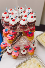 Beautiful wedding cupcakes