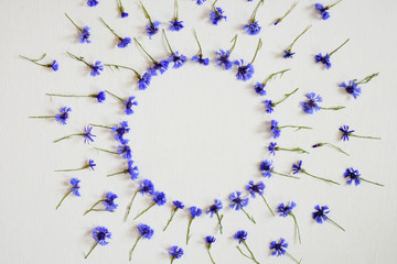 blue cornflowers in circular ornament against white background, top view