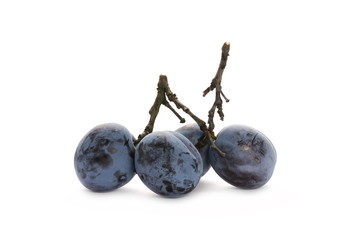 Fresh plums with twigs isolated on white background