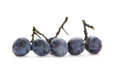 Fresh plums with twigs isolated on white background