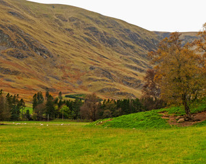 Glen Clova