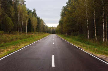 New asphalt road through the forest