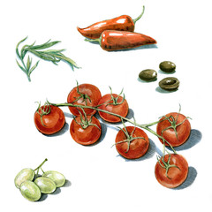 Tomatoes grapes olives pepper and herbs watercolor illustration on white background