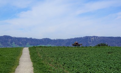 Wiese auf einem H&uuml;gel in zollikon in kanton Z&uuml;rich in der Schweiz im Fr&uuml;hling