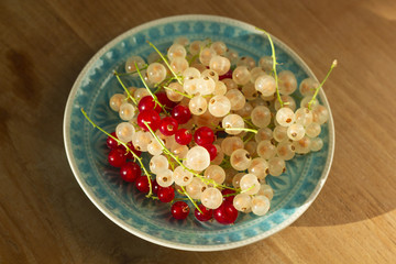White and red currant on a blue plate on wooden table