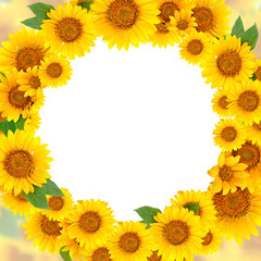 Wreath of sunflowers on a white background. Background with copy space.