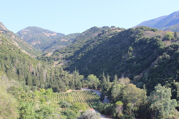 Griechisches Weingut