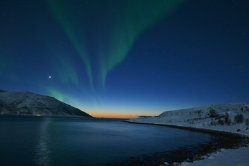 Fototapeta premium The northern lights (Aurora Borealis) over Seljelvnes, Troms by the sea and the snowy mountains