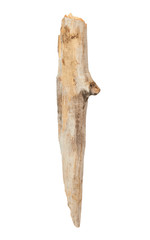 Fototapeta premium Tree stick isolated on white background