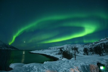 The northern lights (Aurora Borealis) over Seljelvnes, Troms by the sea and the snowy mountains