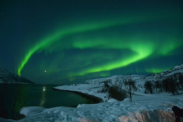 The northern lights (Aurora Borealis) over Seljelvnes, Troms by the sea and the snowy mountains