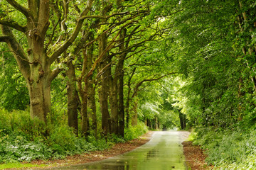 Die Sonne scheint doch wieder 