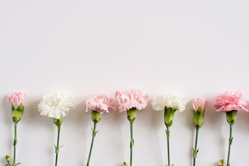 design floral rose et blanc © chali