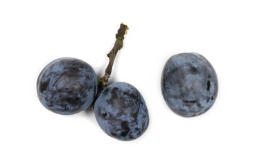 Fresh plums isolated on white background, top view