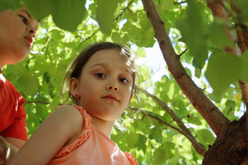 children in the tree