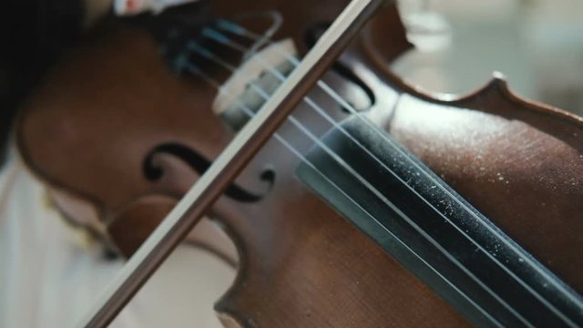 Close up Woman violinist playing the violin on the nature. Musician playing. Slow motion.
