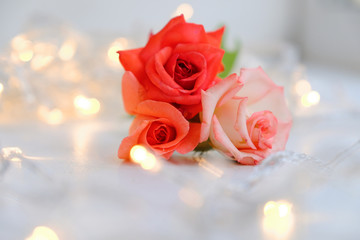 roses with bokeh background