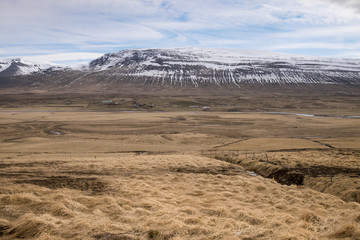 Grass tundra landscape in Iceland