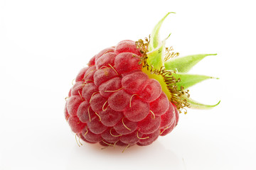 Raspberries and her leaves close-up