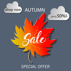 Fall sale background design with colorful paper cut autumn leaves. Vector illustration