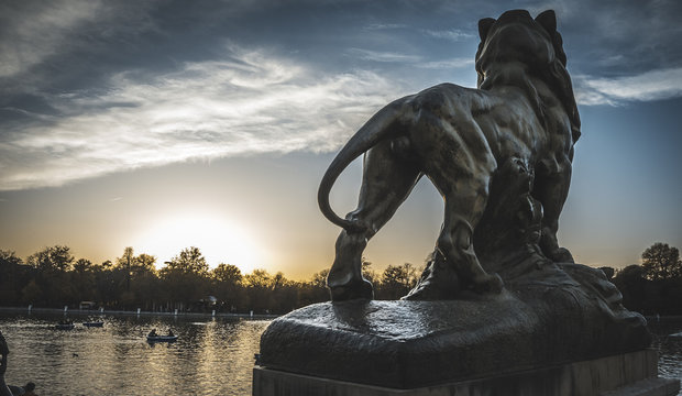 El Retiro Lion