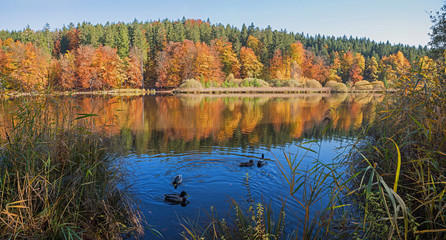 Idyllische Herbstlandschaft Deininger Weiher mit Enten, bei Dämmerung