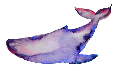 Watercolor whale fish isolated on a white background
