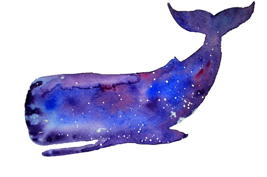 Watercolor whale fish isolated on a white background