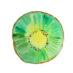 Watercolor kiwi isolated on a white backround