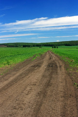 A dirt road in the field