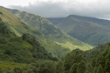 Fototapeta premium Green and lush view with firs and ferns near Water of Nevis and Steall Falls from a walk from Polldubh and Achriabhach in the foot hills of Ben Nevis, Highlands, Scotland
