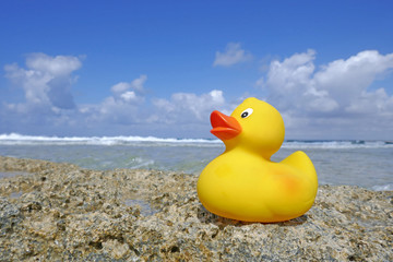 Badeente am Sandstrand 