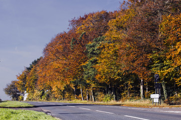 Autumn at Chapmans cross