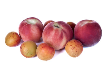 Fresh delicious apricot and peach fruits isolated on white background