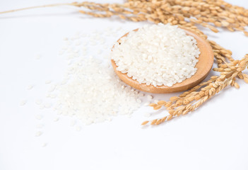 white rice in wooden bowl and unmilled rice isolated on white background
