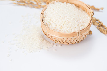 white rice in wooden bowl and unmilled rice isolated on white background