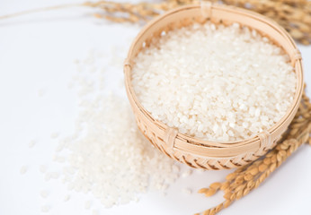 white rice in wooden bowl and unmilled rice isolated on white background