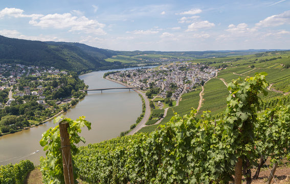 Mehring an der Mosel Deutschland Europa